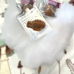 Shroomology Shrooms Grenade